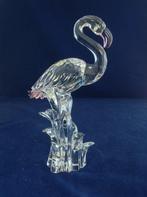 Swarovski - Beeldje - Flamingo - 289733 - Box + Certificate