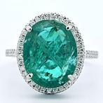 Ring Platina -  6.42ct. tw. Smaragd - Diamant - Zambia, Nieuw