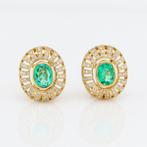 Oorbellen - 14 karaat Geel goud - 2.43ct. tw. Smaragd -, Nieuw