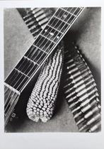 Tina Modotti [1896-1942] - Maïs, guitare, cartouchière