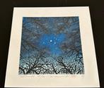 Tree scene series N.126 Night with stars- Limited edition