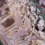 Fantastische collectie mineralen Calciet, Amethist en, Verzamelen