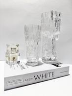 Iittala - Tapio Wirkkala - Vaas (2) - havermout - Bevroren