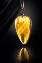Barnsteen - One-of-a-Kind Baltic Amber Pendant – Ancient, Antiquités & Art, Curiosités & Brocante