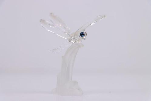 Figure - Swarovski - Libelle (Boxed + certificate) - Cristal, Antiek en Kunst, Curiosa en Brocante