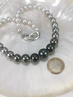 Collier Argent Perle - Perle - Rainbow Tah-Akoya Ø8x14MM, Nieuw