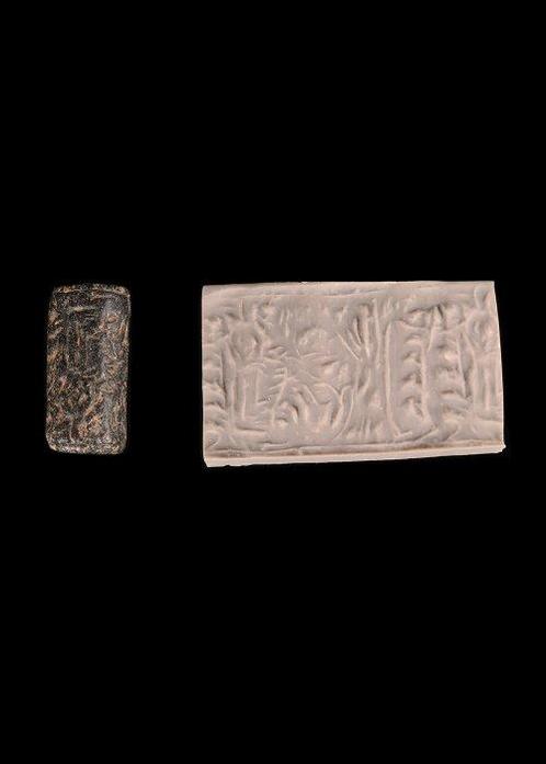 Mesopotamisch Hardsteen Cylinder seal, Antiek en Kunst, Antiek | Overige Antiek