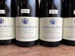 2021 Domaine Martin Dufour Les Beaumonts -, Verzamelen, Nieuw