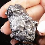 Campo del Cielo - Météorite – Fer-nickel avec structure de