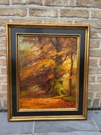 Albert Demoen (1916-1992) - Bosgezicht in de herfst, Antiek en Kunst