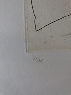 Jorge Castillo - Rey de los pagaros