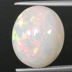 Edele opaal - 9.55 ct