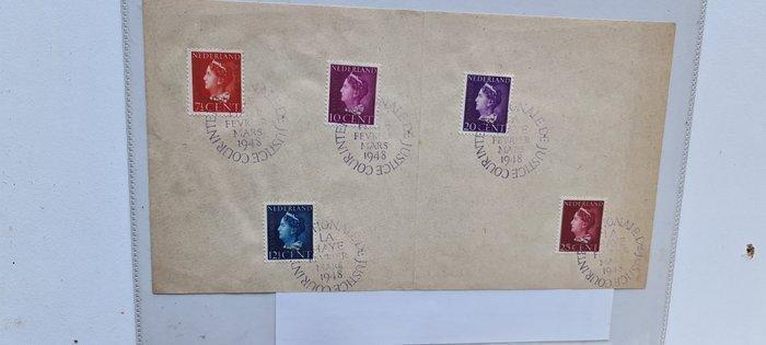 Pays-Bas - Pays-Bas + blocs + timbres commémoratifs + FDC, Timbres & Monnaies, Timbres | Pays-Bas