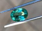 1 pcs Groen Smaragd - 1.87 ct - Gemological Institute of, Nieuw
