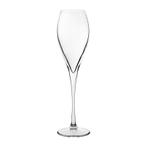 Champagneglazen | MONTE CARLO | Glas | 23cl | 24 Stuks |, Verzenden, Nieuw in verpakking