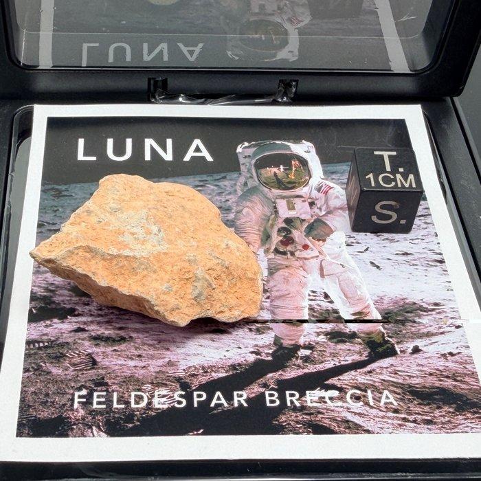 Geen reservering!!!!! Super!! Moon Meteoriet BECHAR 007, Verzamelen, Mineralen en Fossielen