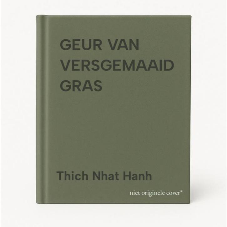 GEUR VAN VERSGEMAAID GRAS 9789071013034 Thich Nhat Hanh, Livres, Livres Autre, Envoi