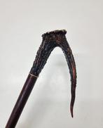 Wandelstok - gewei, hout