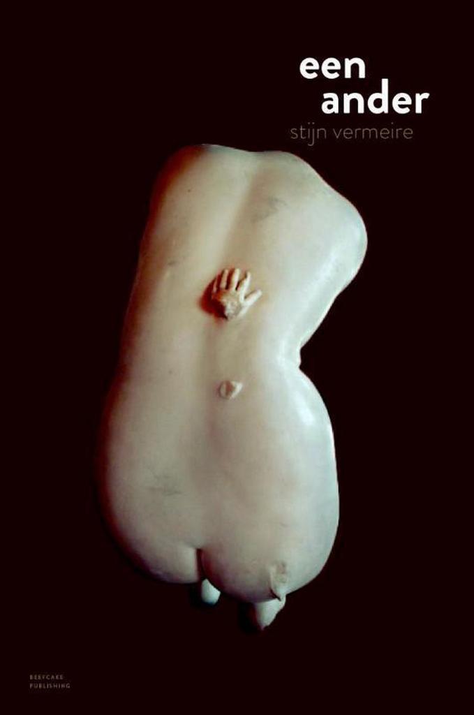 Een ander 9789491144202 Stijn Vermeire, Boeken, Romans, Gelezen, Verzenden