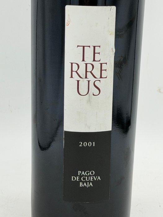 2001 Bodegas Mauro, Terreus Pago de Cueva Baja -, Verzamelen, Wijnen