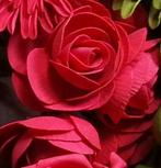 Camelia Ranonkel Rood Foambloem bundel 5 stuks, Nieuw