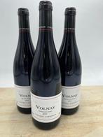 2015 Volnay Les Vieilles Vignes - Vincent Girardin -