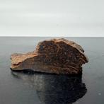 VACA MUERTA Mesosideriet, zeer zeldzaam om te vinden. - 51, Verzamelen