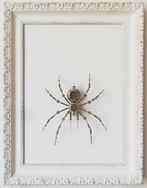 Peter Szucsy - Steampunk Spider Countess Isabella