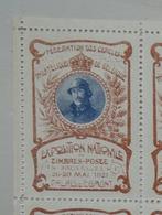 België 1921 - RRR : koning met helm : een vel vignetten