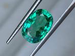 1 pcs  Vert Émeraude  - 3.12 ct - Gemological Institute of, Nieuw