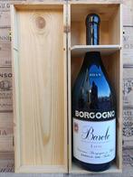2014 Giacomo Borgogno & Figli Vigna Liste - Barolo DOCG - 1, Collections