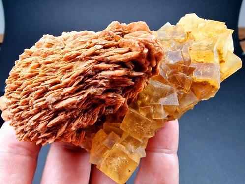 Fluorine Baryte de haute qualité - Hauteur : 110 mm -, Verzamelen, Mineralen en Fossielen
