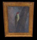 Belgische school (XX) - Bonte Specht