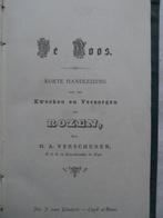 Hendrikus Antonie (Hens) Verschuren - De roos. Korte