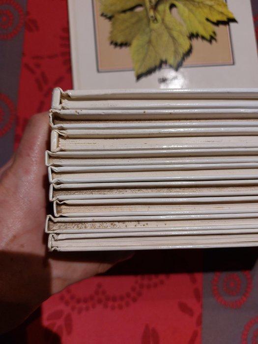 Claude Serre - 10x C - EO/Ré - 10 Album - 1982/1997, Livres, BD