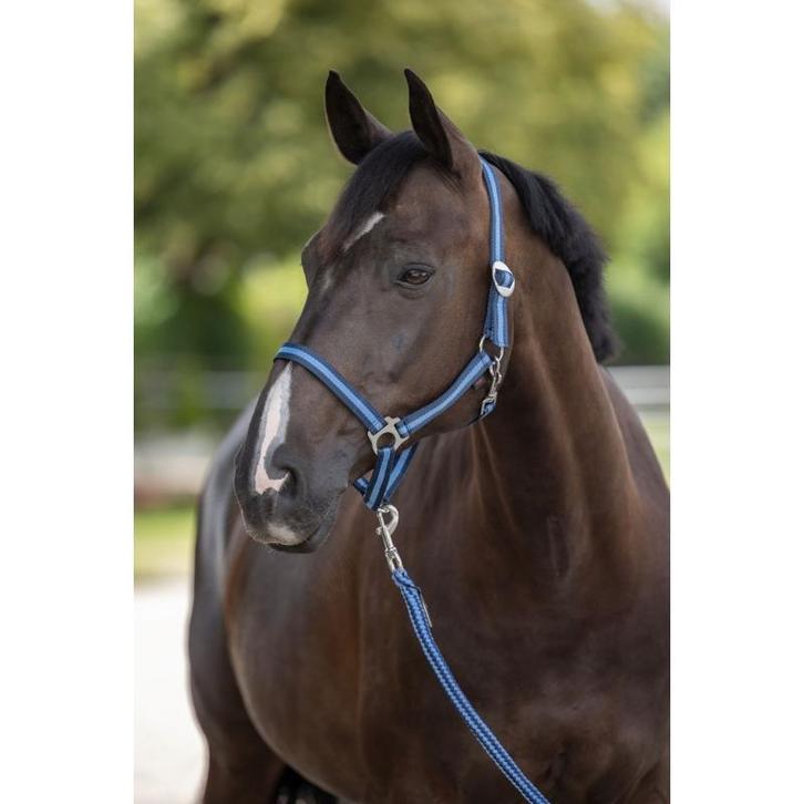 Licol nylon hippo taille 0 bleu remplace 32003 - kerbl, Dieren en Toebehoren, Paarden en Pony's | Overige Paardenspullen