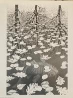 M.C. Escher (1898-1972) - De drie werelden