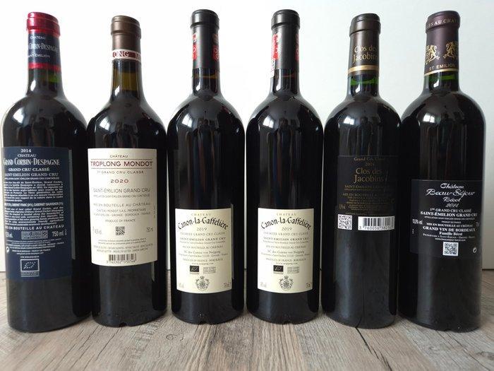 2014, 2019 & 2020 - Saint-Émilion Grand Cru Classé - 6, Verzamelen, Wijnen