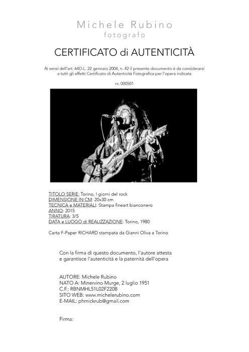 Michele Rubino Bob Marley Last concert in Italy - 28 giugno, Antiek en Kunst, Kunst | Designobjecten