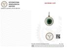 Hanger - 18 karaat Geel goud - 2.52ct. tw. Smaragd - Diamant