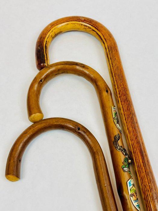Sauer “Stöcke seit 1913” Wandelstok (3) - Hout - Vintage, Antiek en Kunst, Antiek | Overige Antiek