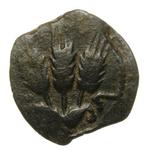 Herodiaanse koningen van JUDAEA. Herod Agrippa I (AD 37-44).