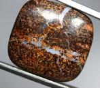 Ct. 59.0 Australische Boulder Opal Collectie - Gepolijste