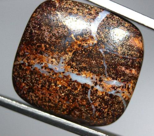 Ct. 59.0 Australische Boulder Opal Collectie - Gepolijste, Verzamelen, Mineralen en Fossielen