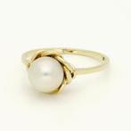 Ring - 14 karaat Geel goud Parel - Parel, Nieuw