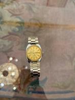 Omega - Seamaster - 166.0216 - Homme - 1975