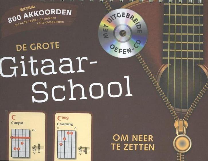 De grote gitaarschool 9789461883506 Frank Walter, Boeken, Stripverhalen, Zo goed als nieuw, Verzenden