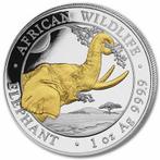 Somalië. 100 Shillings 2023 African Wildlife - Elefant