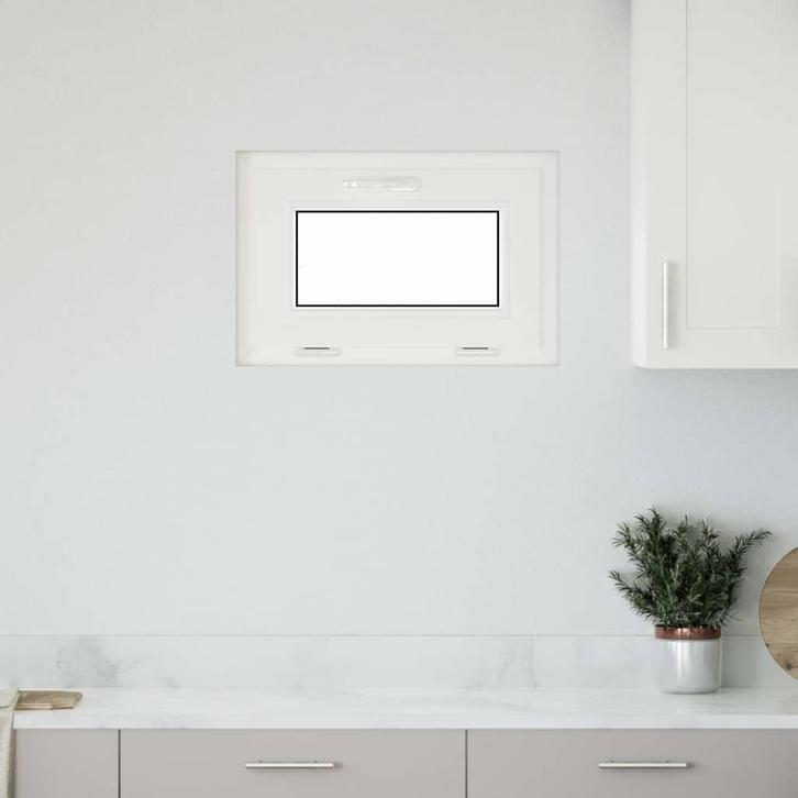 vidaXL Kelderraam RISOR 60x40 cm 2 glas kiepdraad, Doe-het-zelf en Bouw, Raamkozijnen en Schuifdeuren, Nieuw, Verzenden