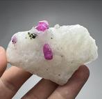 volledig eindigende roze robijnkristallen op Matrix -